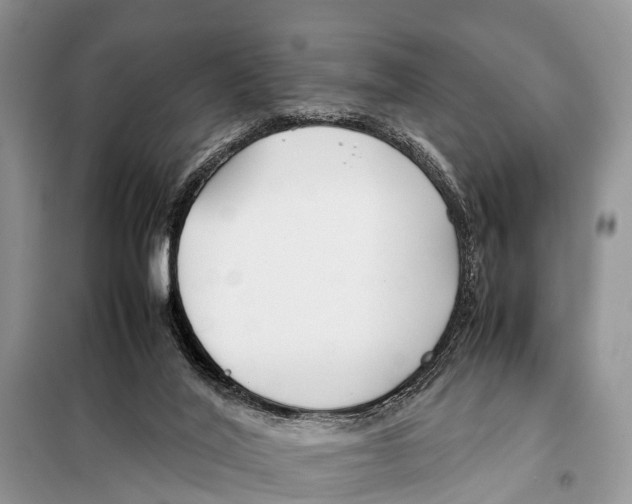 X0000098100020200805021120