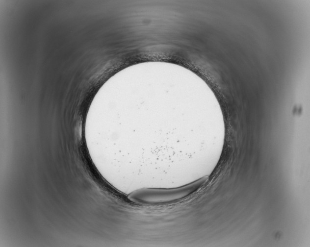 X0000098100021200805021120