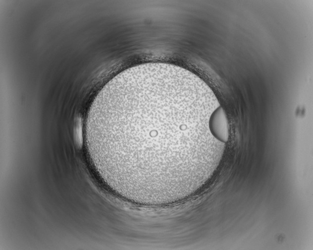 X0000098100022200805021120
