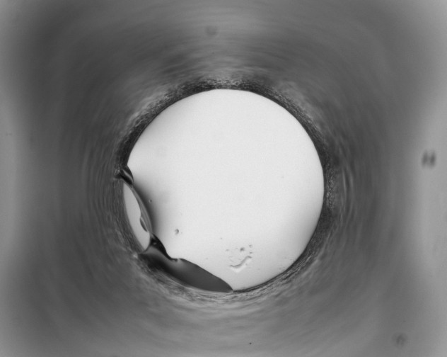 X0000098100023200805021120