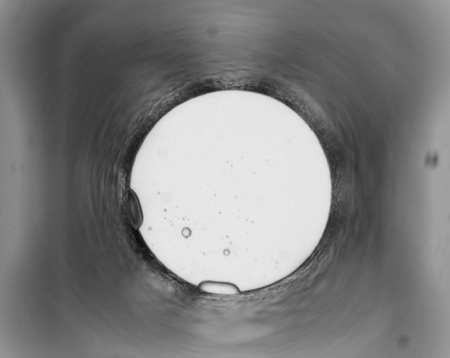 X0000098100025200805021120