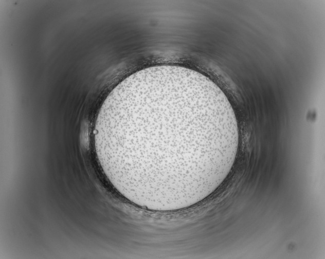 X0000098100026200805021120