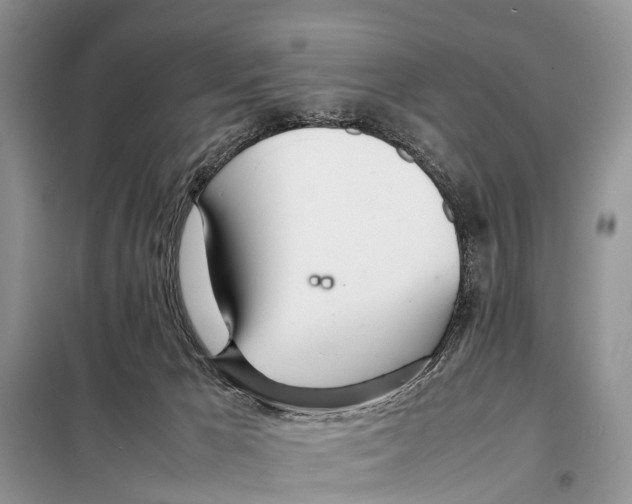 X0000098100029200805021120