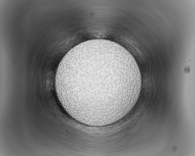 X0000098100030200805021120