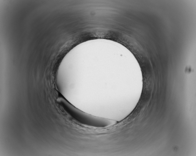 X0000098100031200805021120