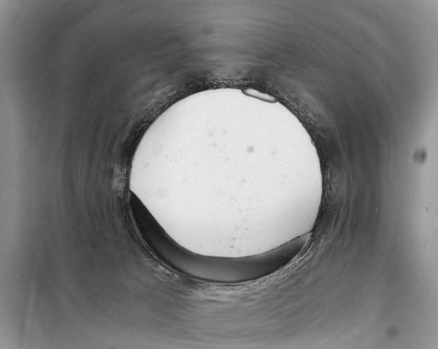 X0000098100033200805021120
