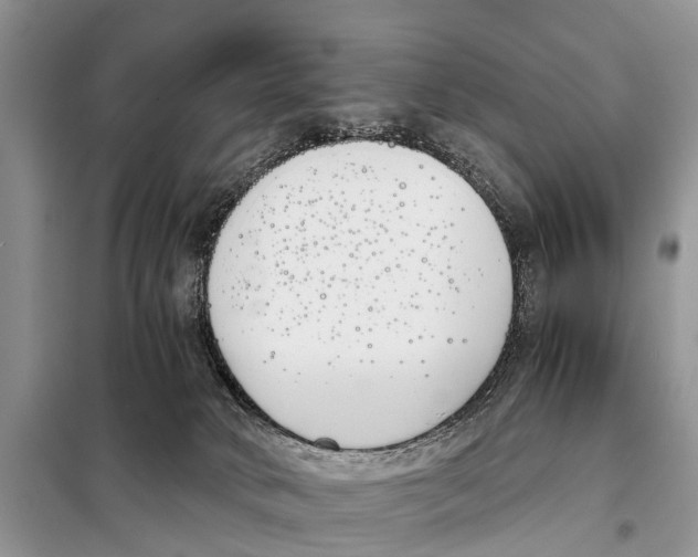 X0000098100034200805021120