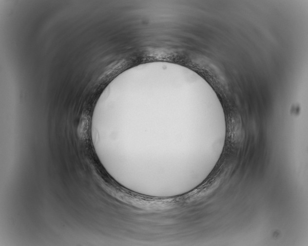 X0000098100036200805021120