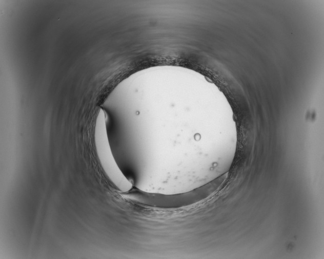 X0000098100037200805021120