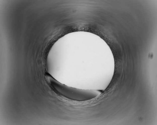 X0000098100039200805021120