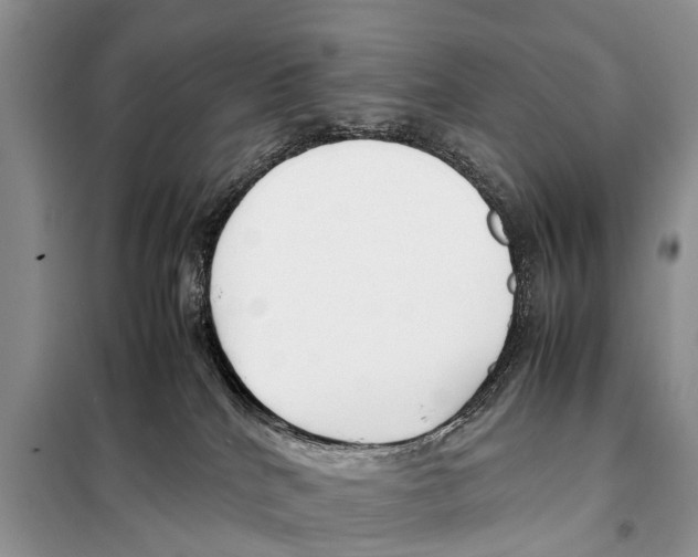X0000098100040200805021120