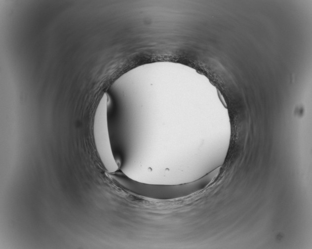 X0000098100041200805021120