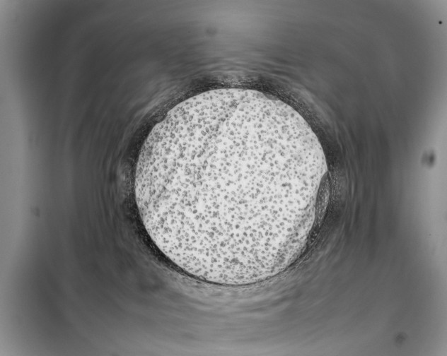 X0000098100043200805021120