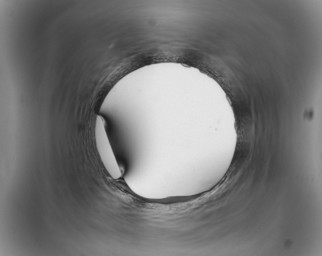 X0000098100045200805021120