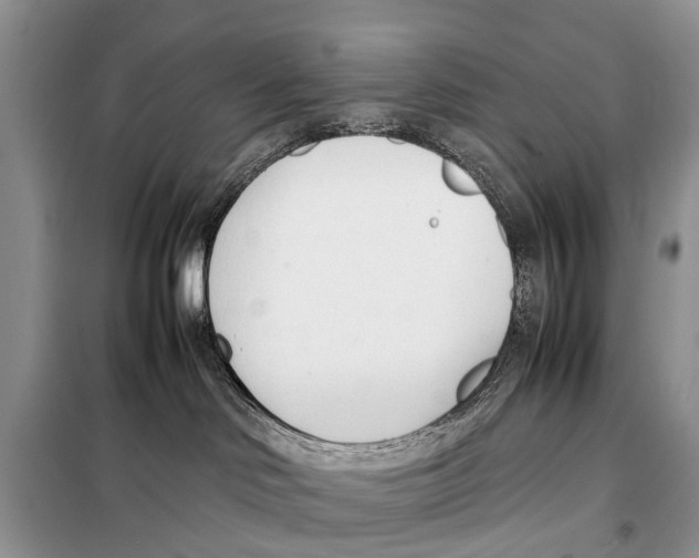 X0000098100046200805021120