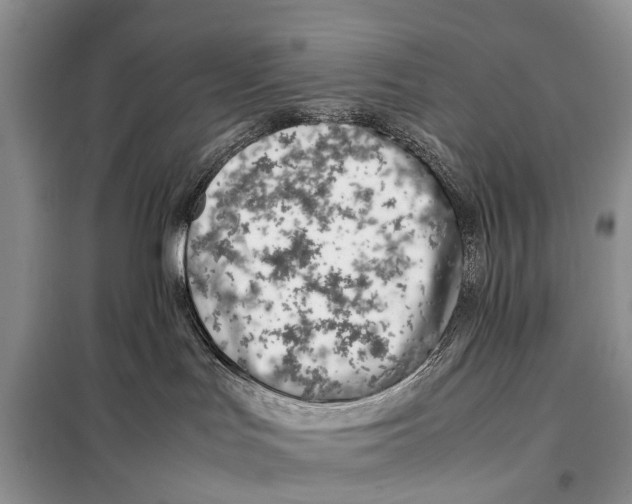 X0000098100047200805021120