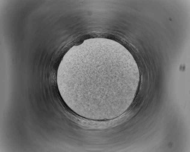 X0000098100048200805021120