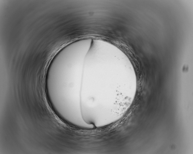 X0000098100049200805021119