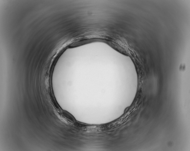 X0000098100050200805021119