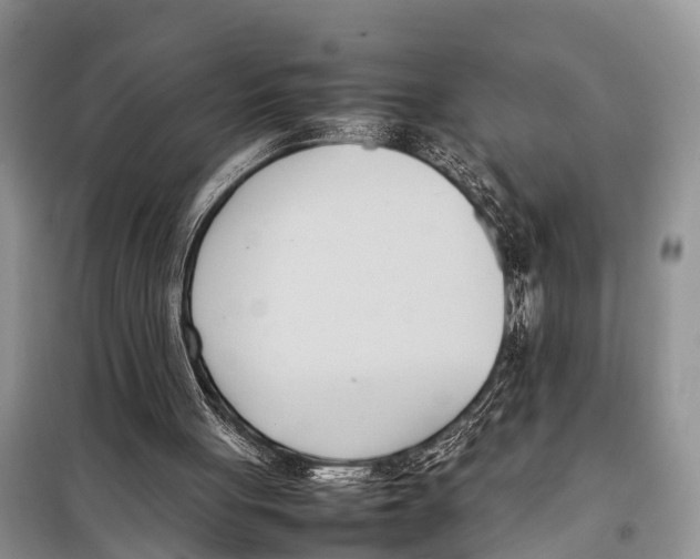 X0000098100051200805021119