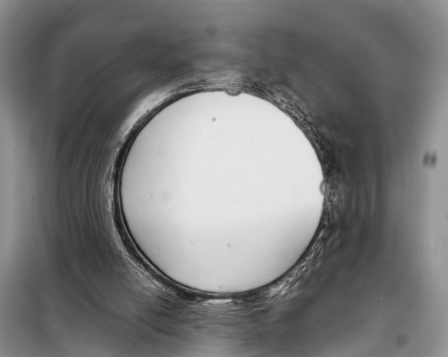 X0000098100054200805021119