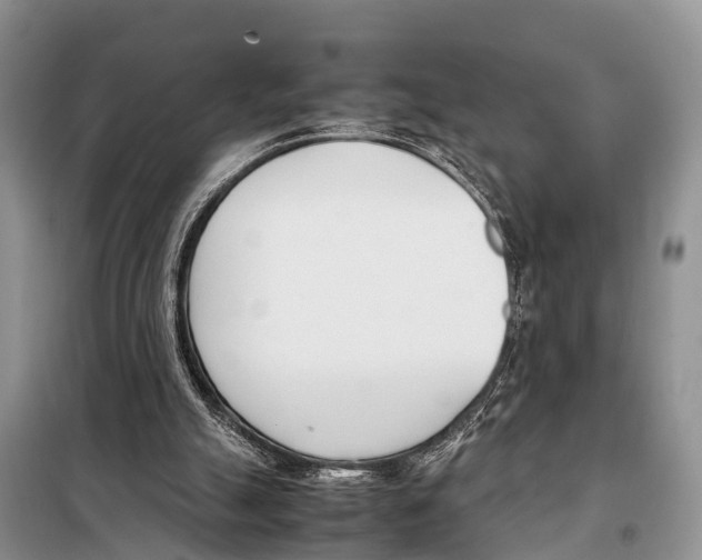 X0000098100055200805021119