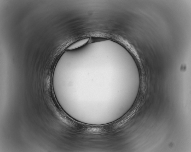 X0000098100057200805021119