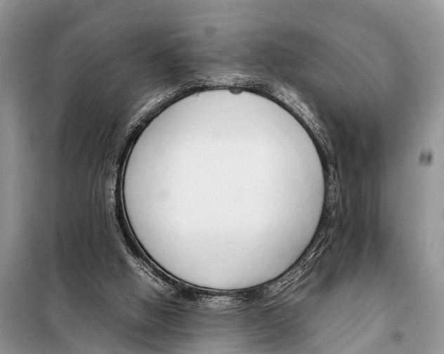 X0000098100058200805021119