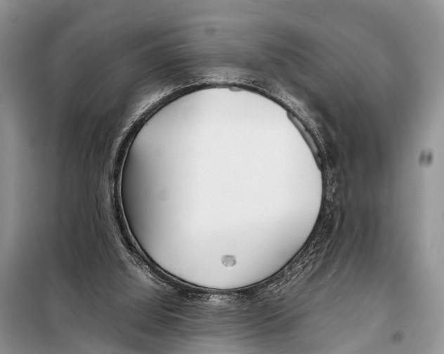 X0000098100060200805021119