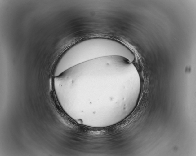 X0000098100061200805021119