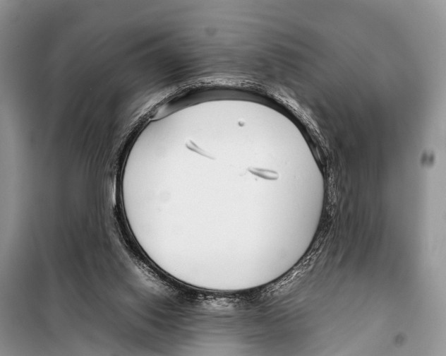 X0000098100062200805021119