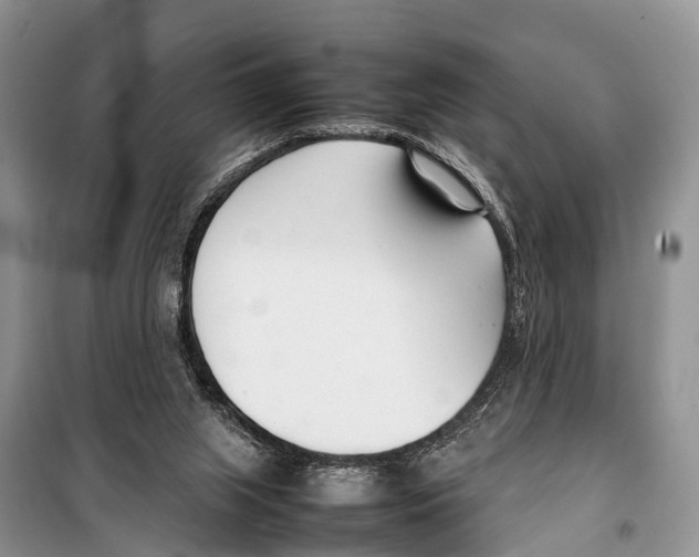 X0000098100063200805021119