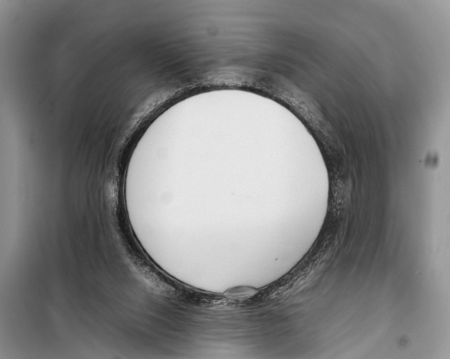 X0000098100064200805021119