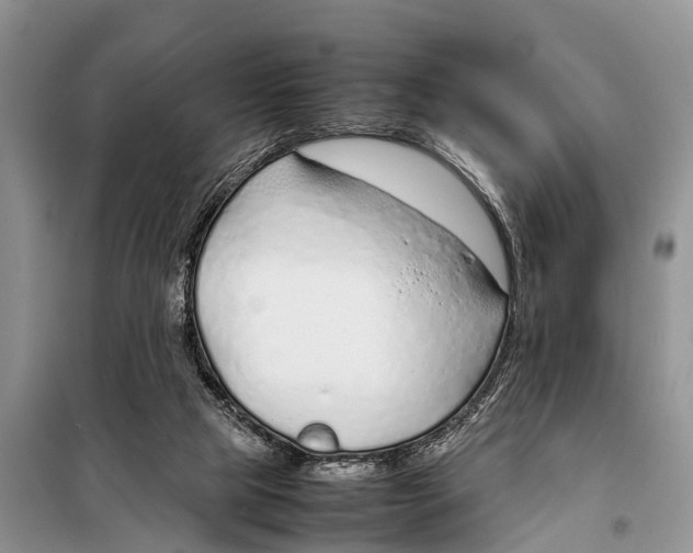 X0000098100065200805021119