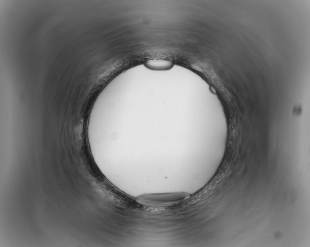 X0000098100066200805021119