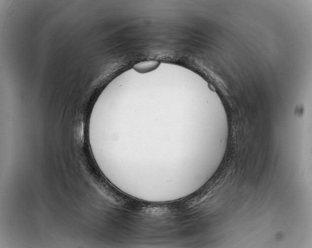 X0000098100067200805021119