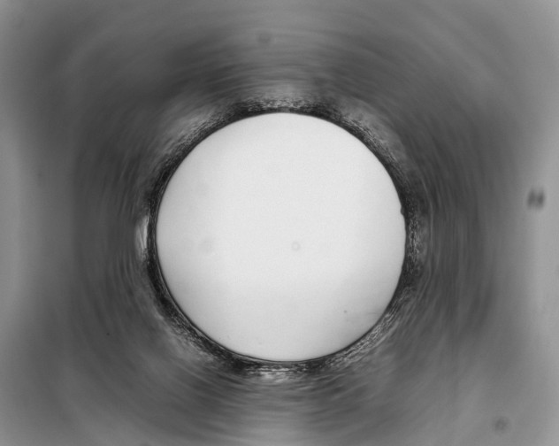 X0000098100070200805021119