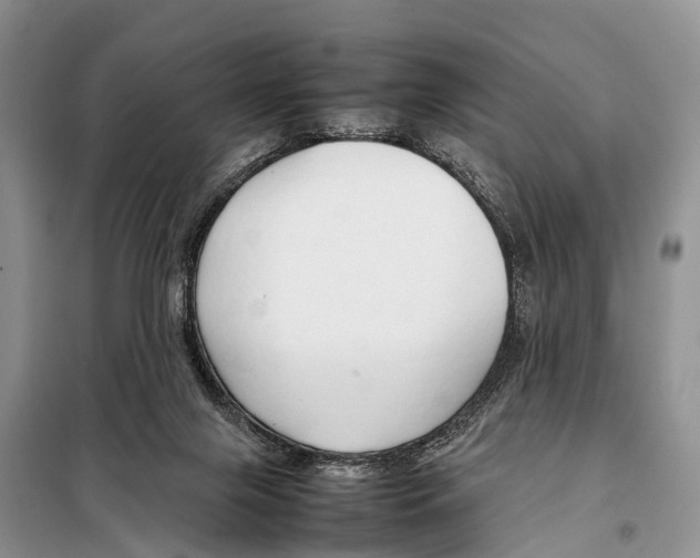 X0000098100071200805021119