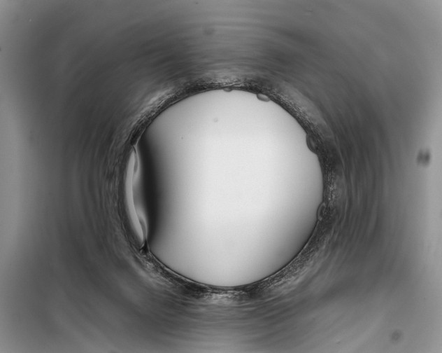 X0000098100072200805021119