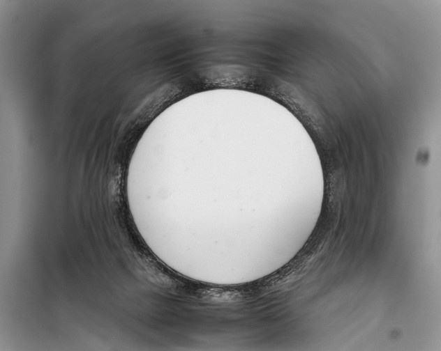 X0000098100073200805021119