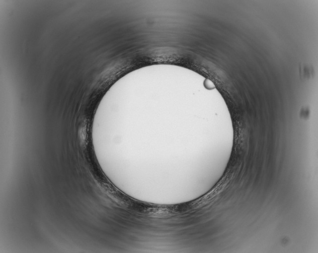 X0000098100074200805021119