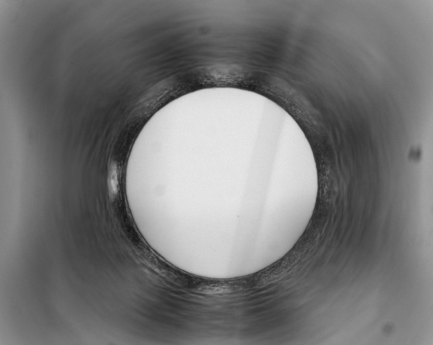 X0000098100075200805021119