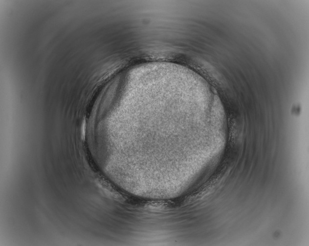 X0000098100076200805021119