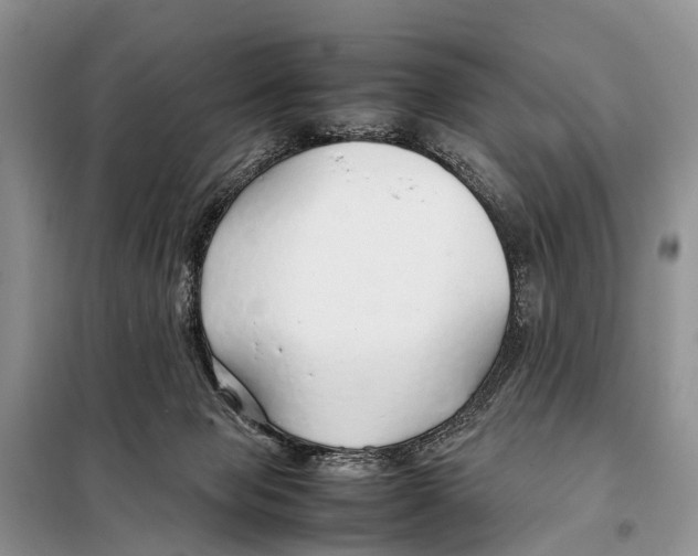 X0000098100077200805021119