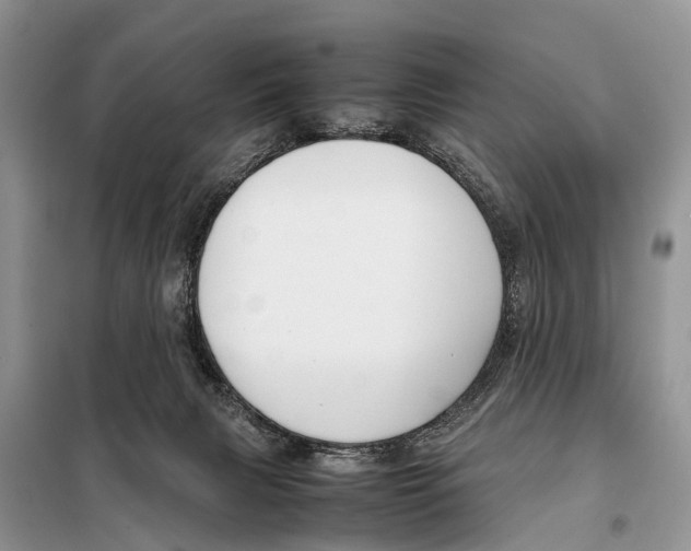 X0000098100079200805021119