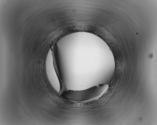 X0000098100080200805021119