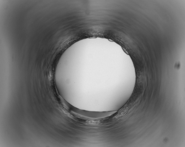 X0000098100084200805021119
