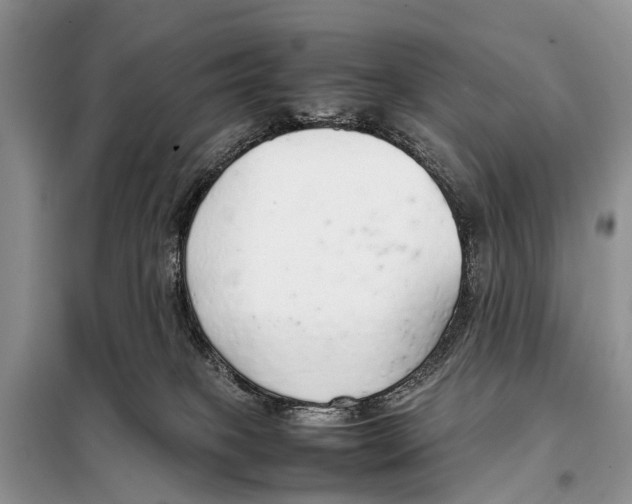 X0000098100085200805021119