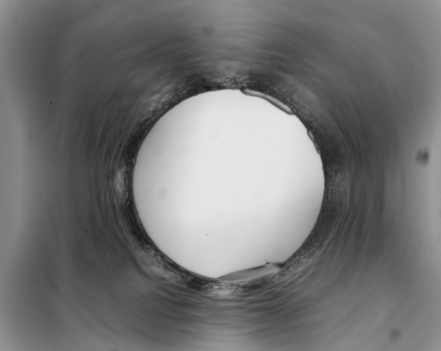 X0000098100088200805021120