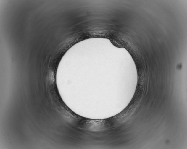 X0000098100089200805021120